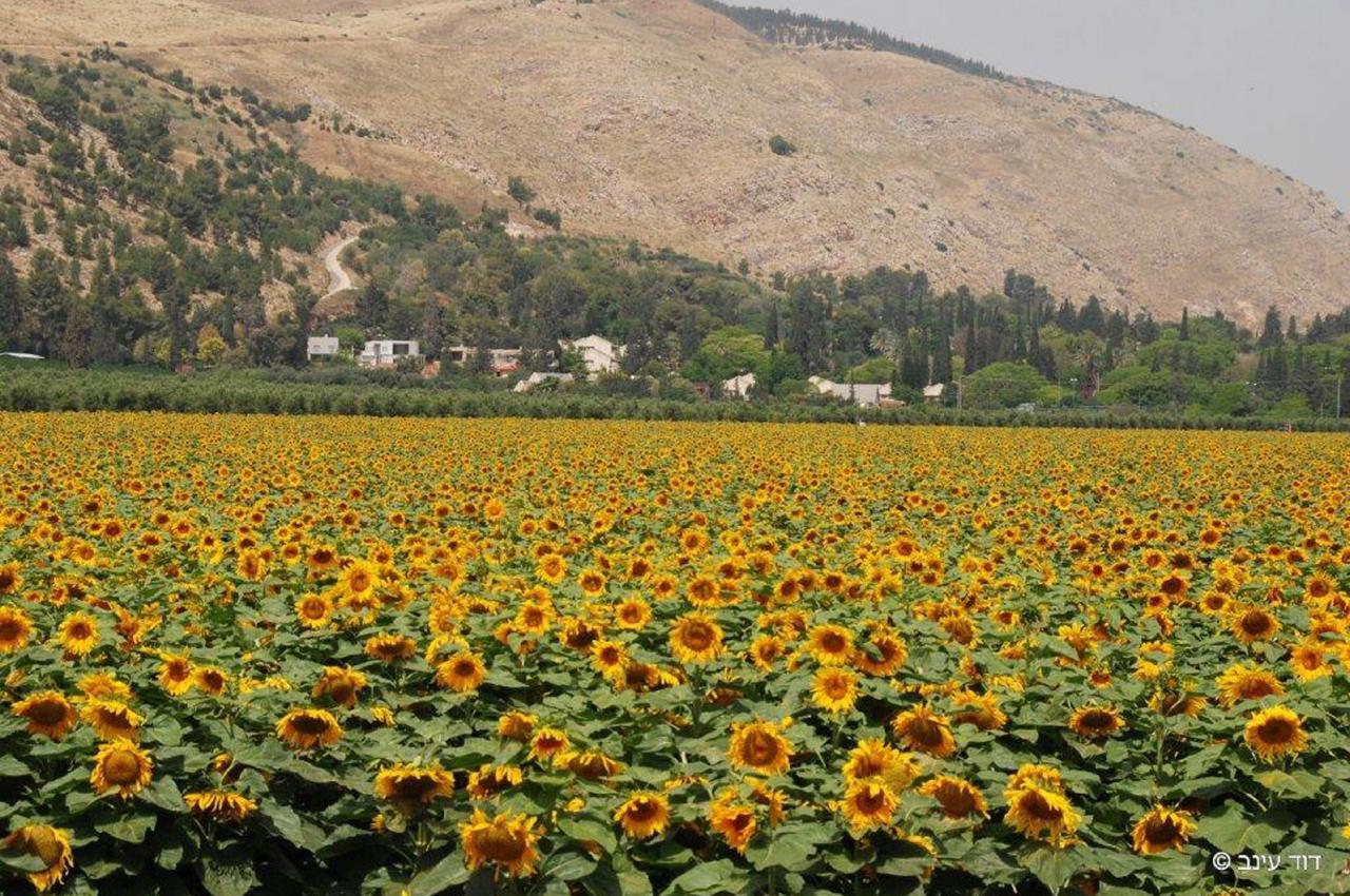Bait Alfa Kibbutz Country Lodging Bet Alfa Luaran gambar