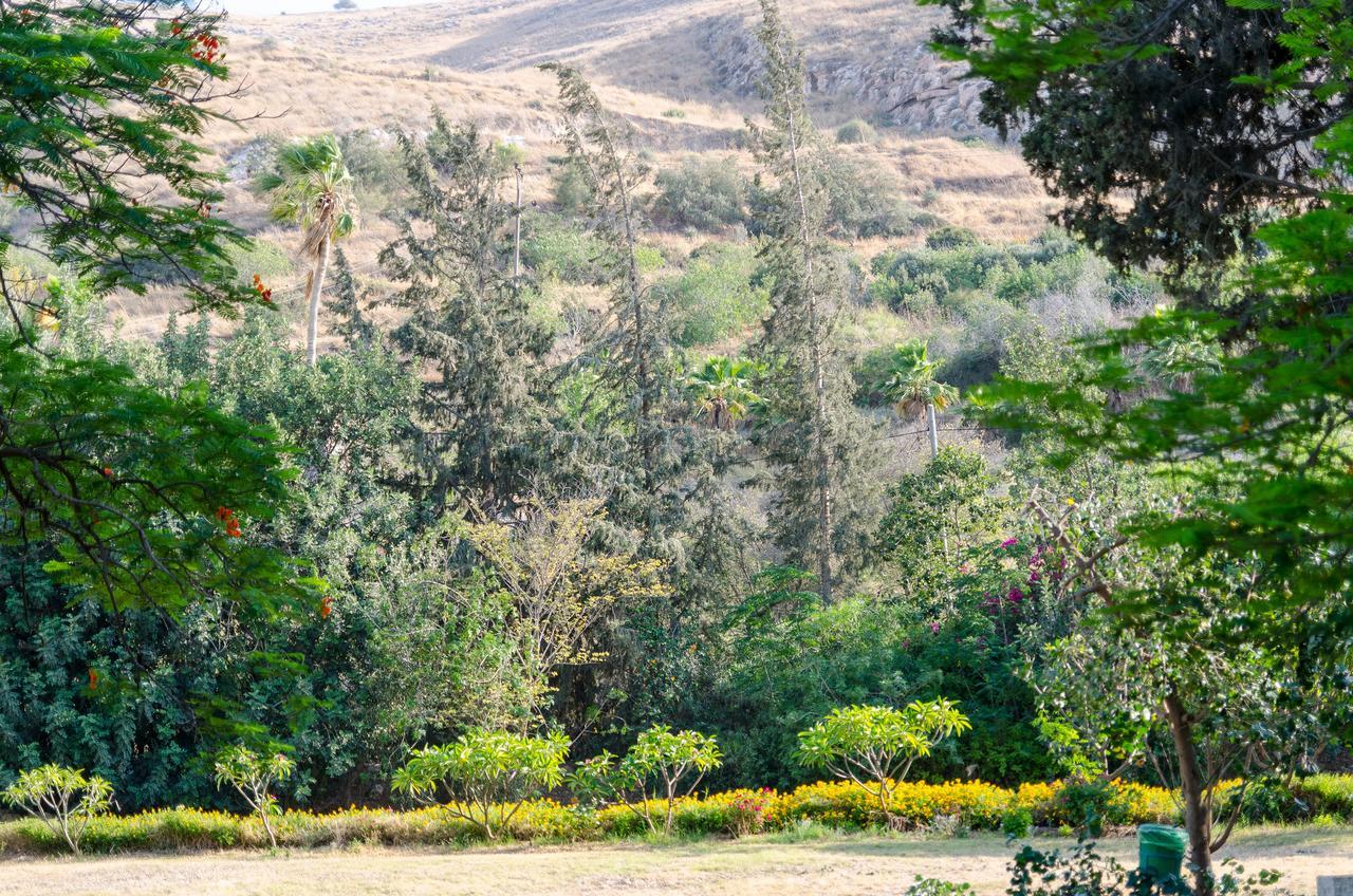 Bait Alfa Kibbutz Country Lodging Bet Alfa Bilik gambar